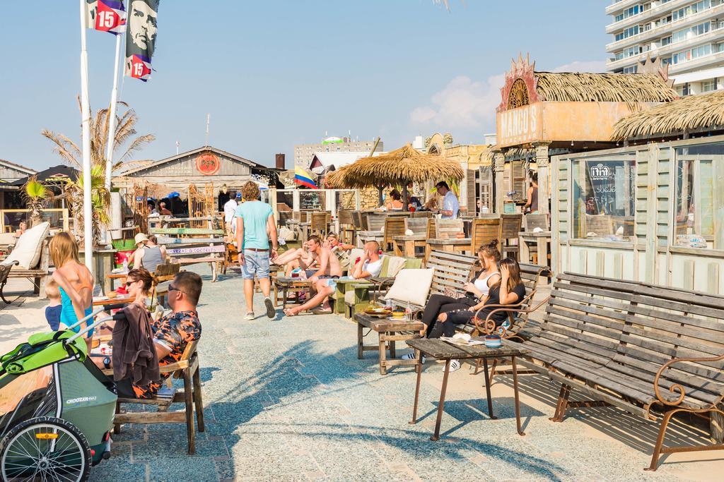 Cute Beach House Zandvoort Εξωτερικό φωτογραφία